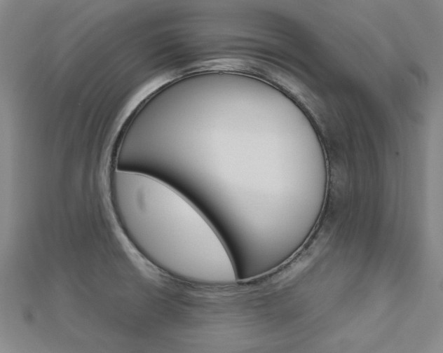 X0000112731426200908201003