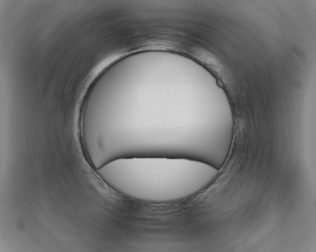 X0000112731427200908201003