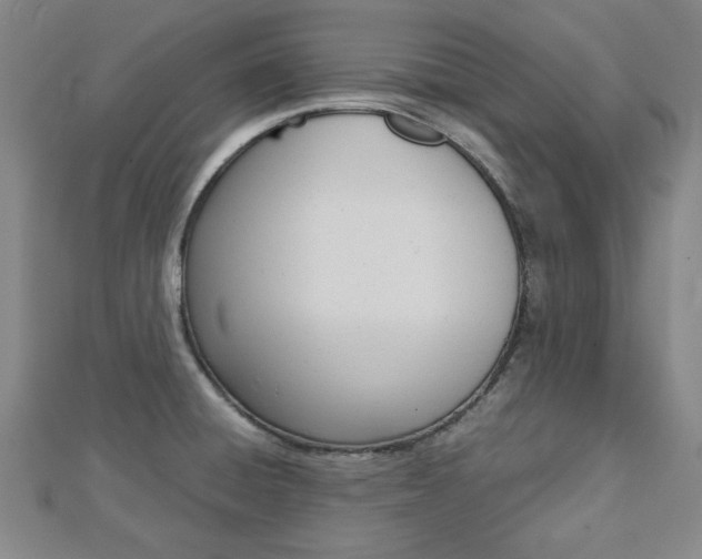 X0000112731428200908201003