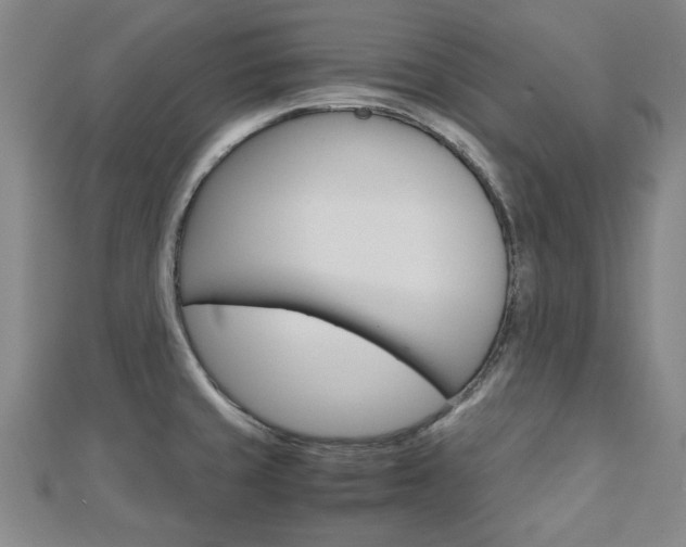 X0000112731429200908201003