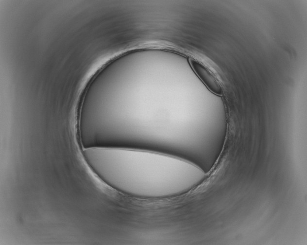 X0000112731430200908201003