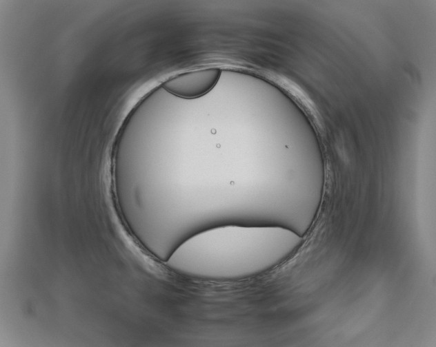 X0000112731431200908201003