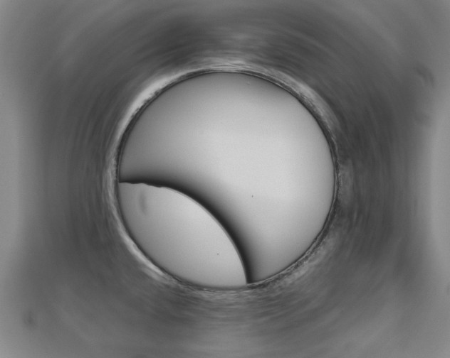 X0000112731432200908201003