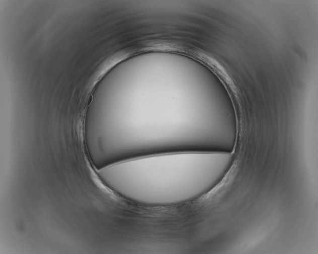 X0000112731433200908201003