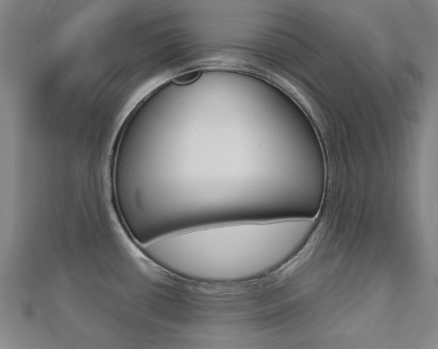 X0000112731434200908201003