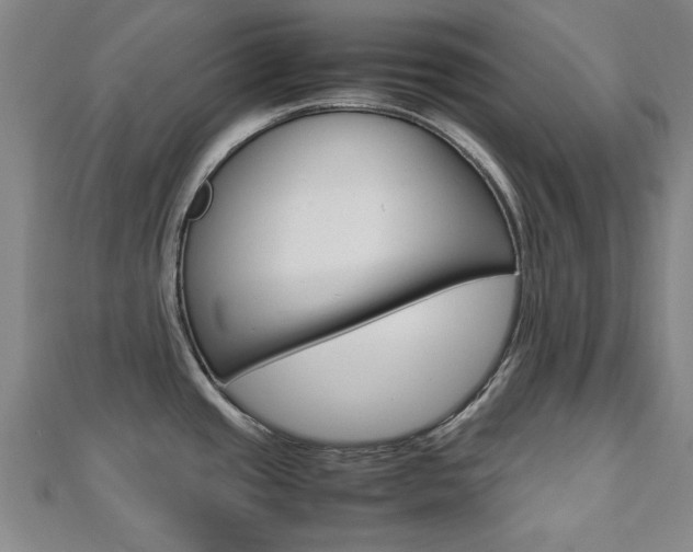X0000112731437200908201003