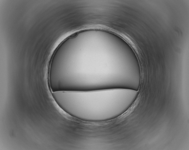 X0000112731438200908201003