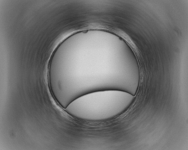 X0000112731439200908201003