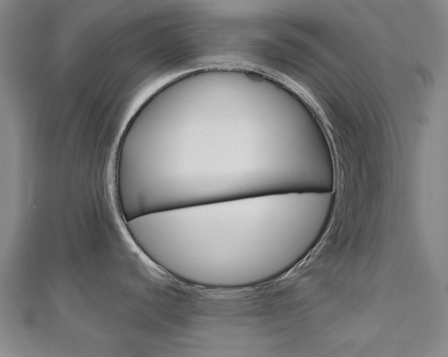 X0000112731440200908201003
