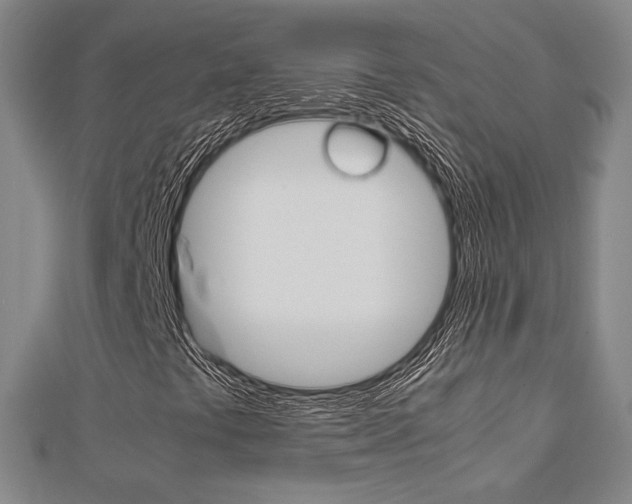 X0000112731441200908201003