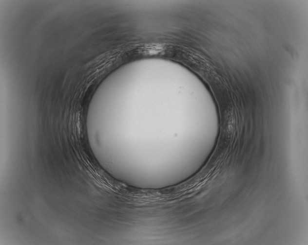 X0000112731442200908201003