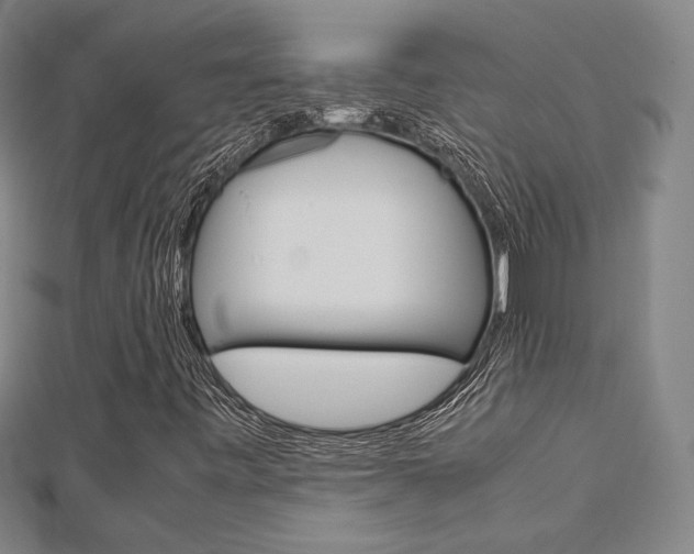 X0000112731443200908201003