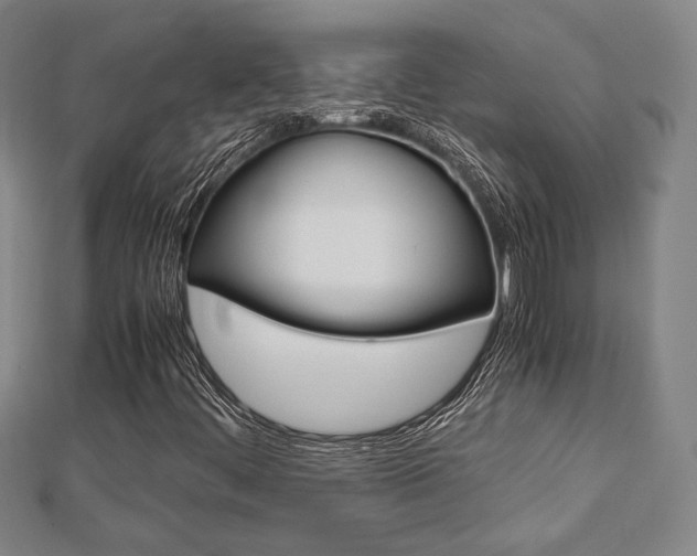 X0000112731444200908201003