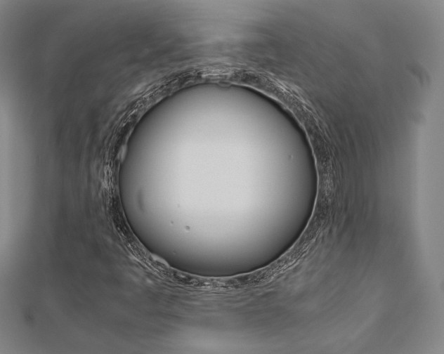X0000112731445200908201002