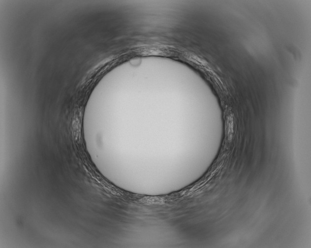 X0000112731446200908201002