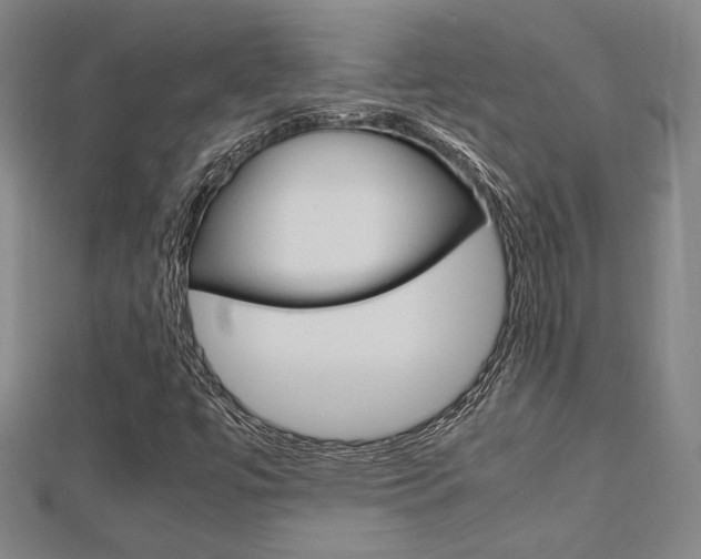 X0000112731447200908201002