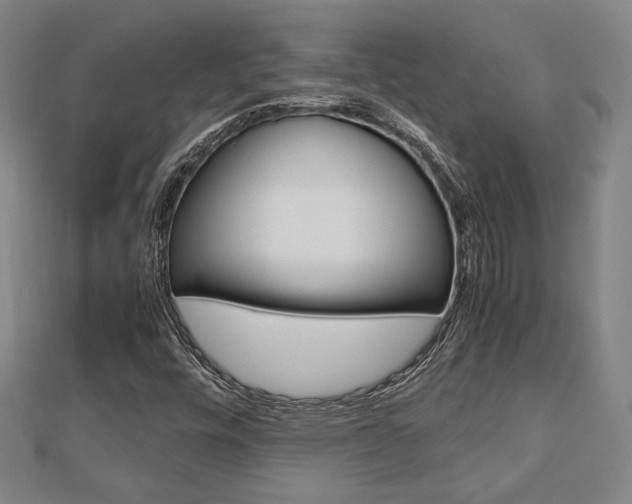 X0000112731448200908201002