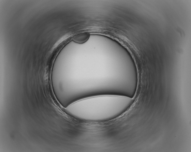 X0000112731450200908201002