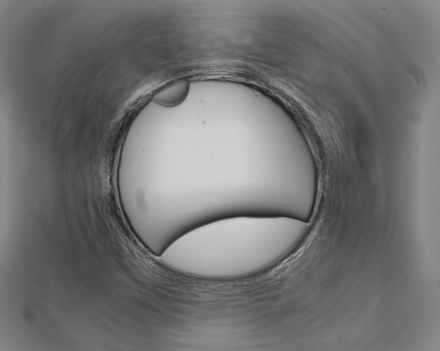 X0000112731451200908201002