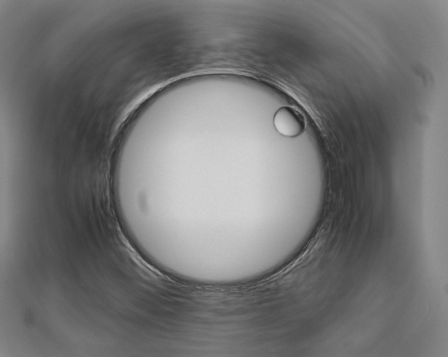X0000112731452200908201002