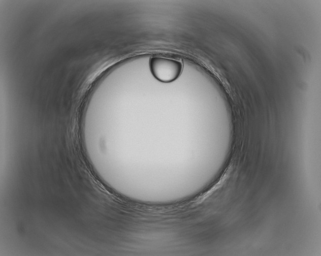 X0000112731453200908201002