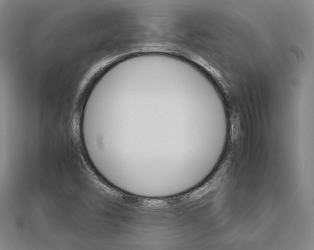 X0000112731454200908201002