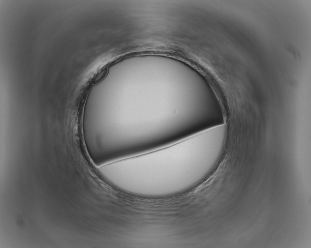 X0000112731455200908201002