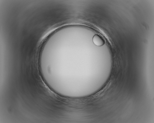 X0000112731456200908201002