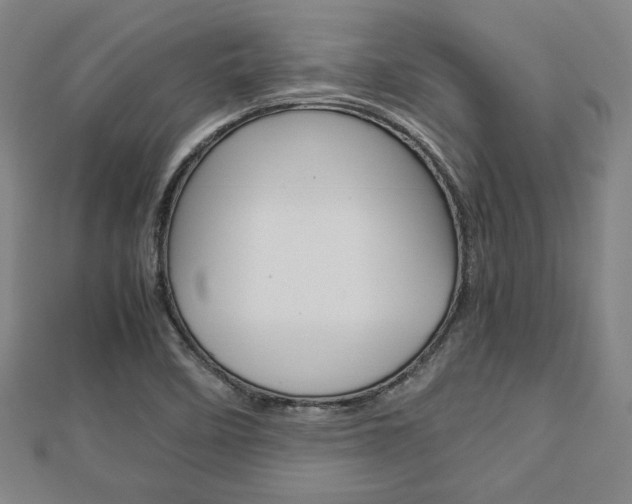 X0000112731458200908201002