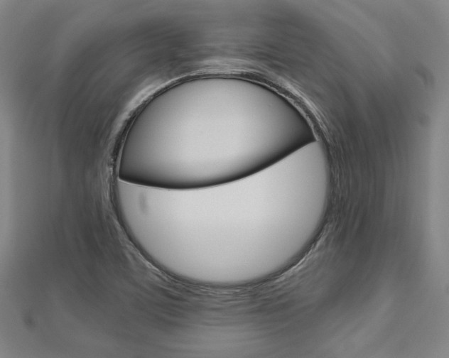 X0000112731459200908201002
