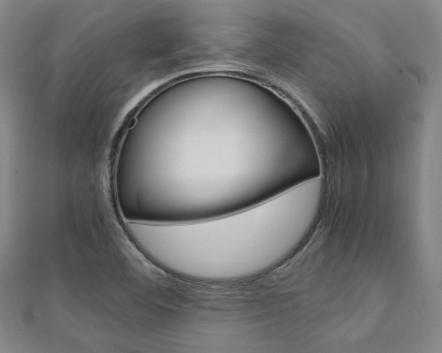 X0000112731460200908201002