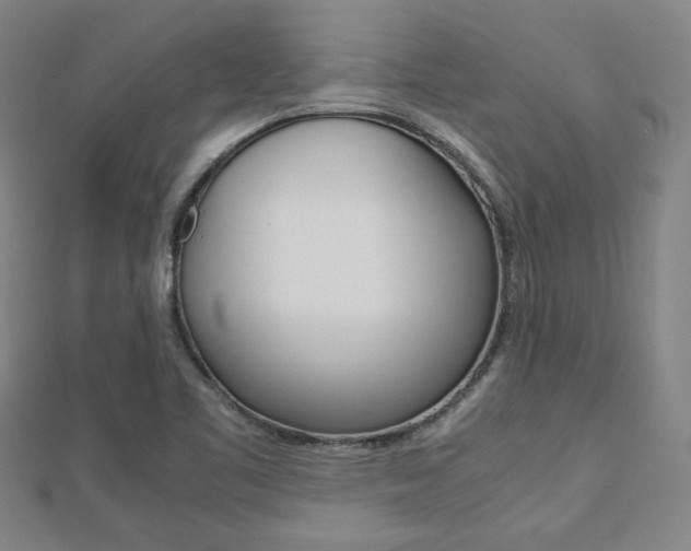 X0000112731461200908201002