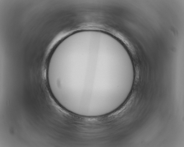 X0000112731462200908201002