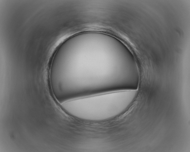 X0000112731463200908201002