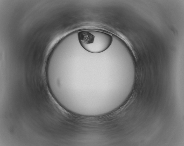 X0000112731464200908201002