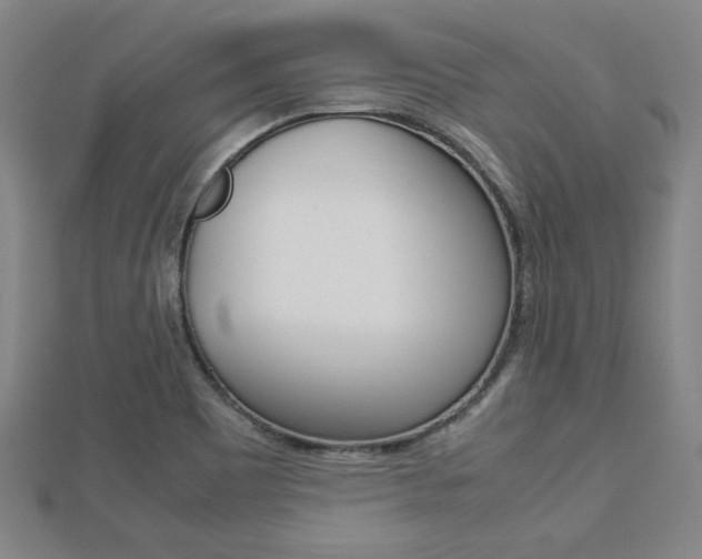 X0000112731465200908201002