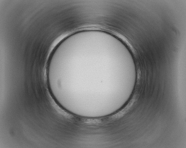 X0000112731466200908201002