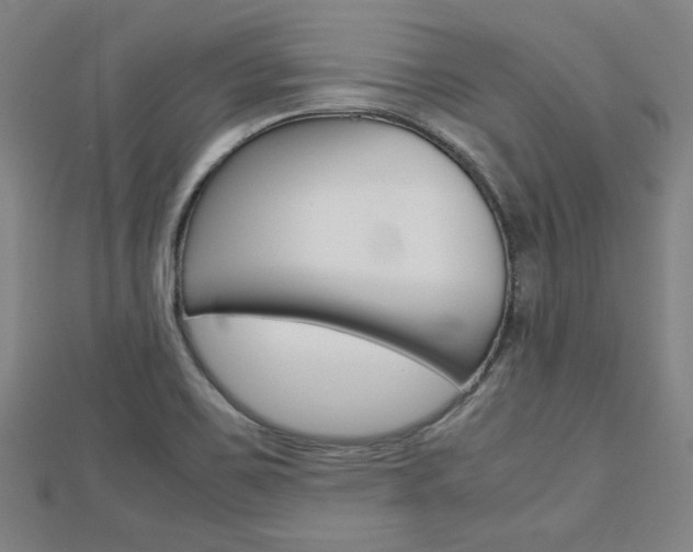X0000112731467200908201002