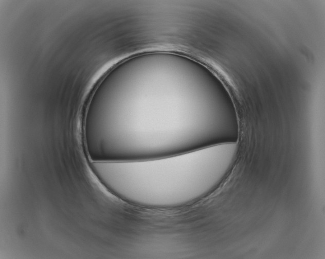 X0000112731468200908201002