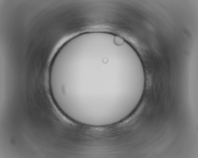 X0000112731470200908201002