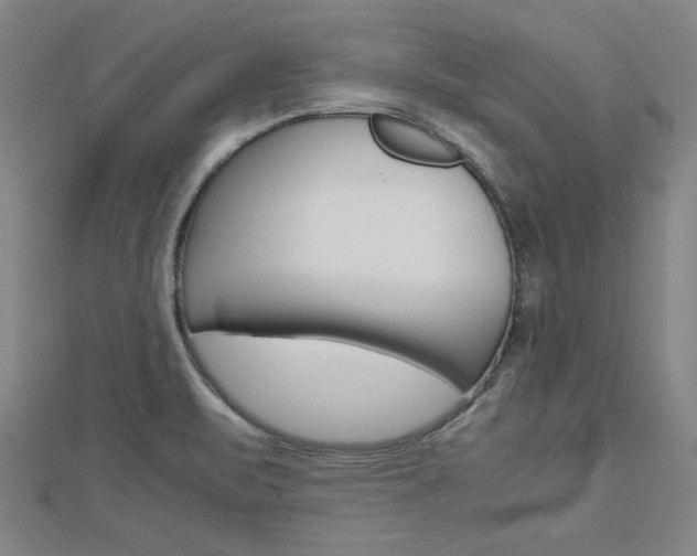 X0000112731471200908201002
