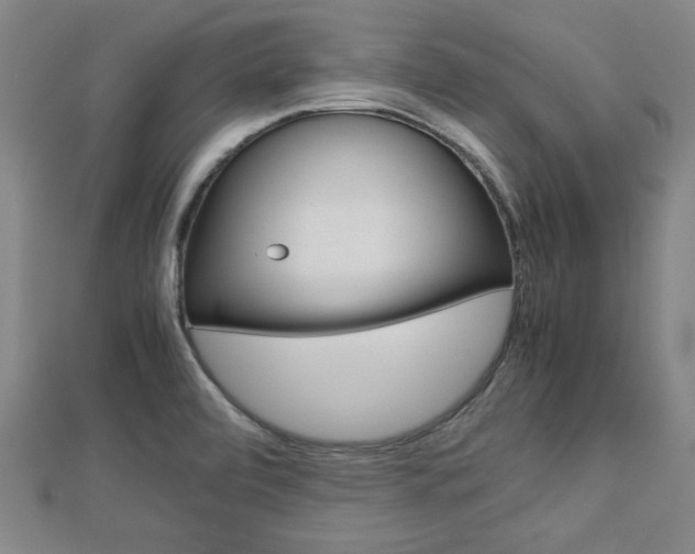 X0000112731472200908201002