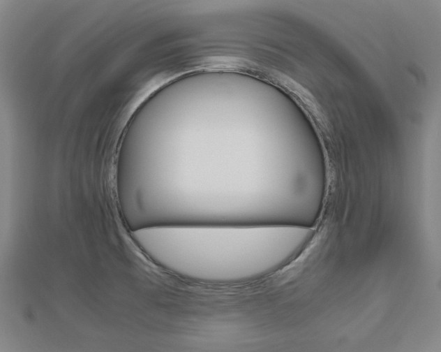 X0000112731473200908201002