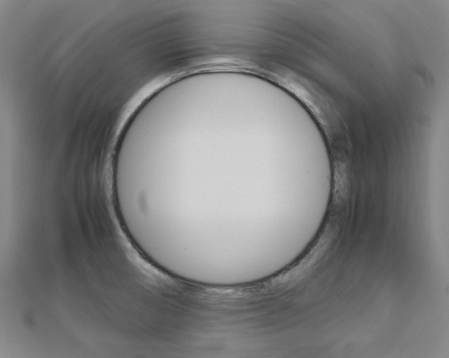 X0000112731474200908201002