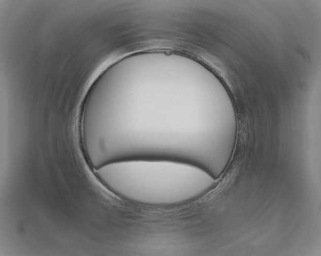 X0000112731475200908201002