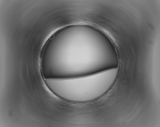 X0000112731476200908201002