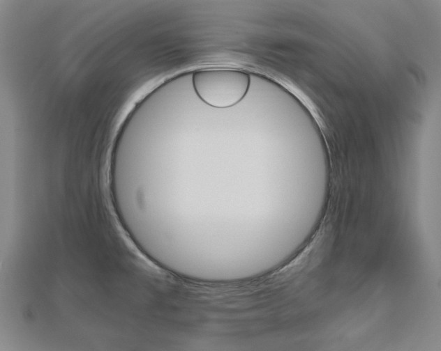 X0000112731477200908201002