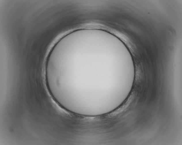 X0000112731478200908201002