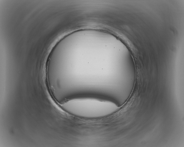 X0000112731479200908201002
