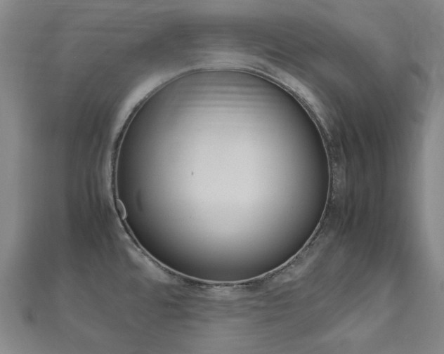 X0000112731480200908201002